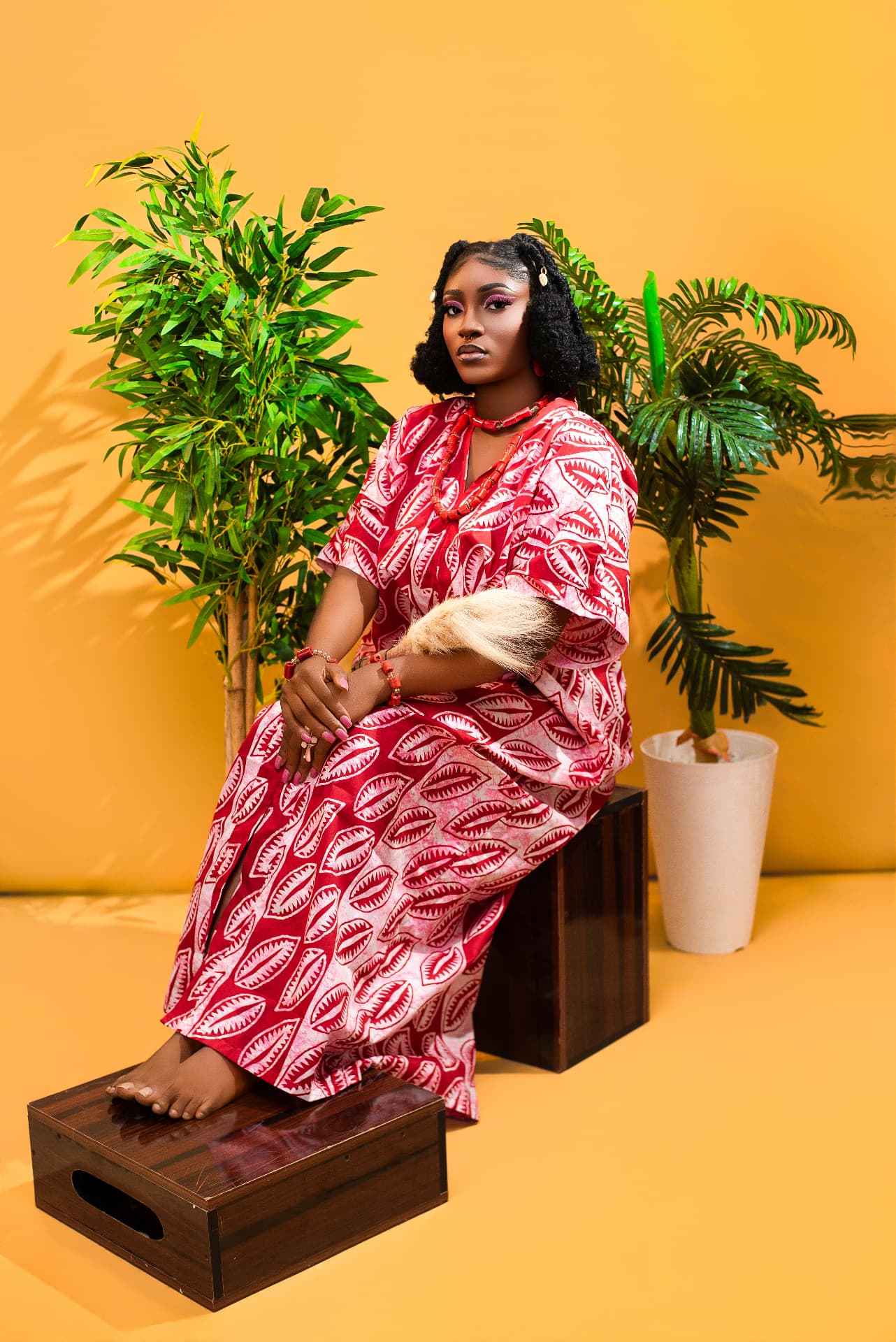 Coloured backdrop set with plants and wooden crates